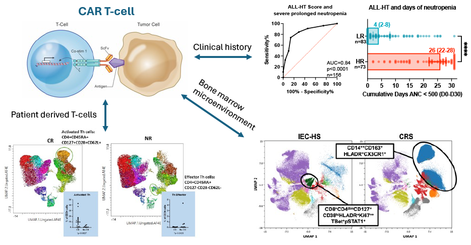 Using a bioinformatics-based approach to predict toxicity and response to CAR T-cells.